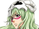 nelliel tu odelschwanck nell bleach cheveux vert yeux jaune masque arrancar fic bloop