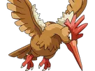 rapasdepic fearow onidrill pokemon pkm jeu anime type normal vol 1g kanto bec oiseau