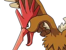 rapasdepic fearow onidrill pokemon pkm jeu anime type normal vol 1g kanto bec oiseau