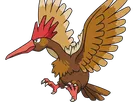 rapasdepic fearow onidrill pokemon pkm jeu anime type normal vol 1g kanto bec oiseau