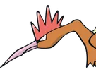 rapasdepic fearow onidrill pokemon pkm jeu anime type normal vol 1g kanto bec oiseau