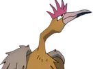 rapasdepic fearow onidrill pokemon pkm jeu anime type normal vol 1g kanto bec oiseau