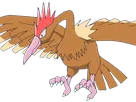 rapasdepic fearow onidrill pokemon pkm jeu anime type normal vol 1g kanto bec oiseau