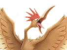 rapasdepic fearow onidrill pokemon pkm jeu anime type normal vol 1g kanto bec oiseau
