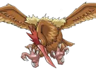 rapasdepic fearow onidrill pokemon pkm jeu anime type normal vol 1g kanto bec oiseau