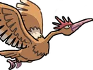 rapasdepic fearow onidrill pokemon pkm jeu anime type normal vol 1g kanto bec oiseau