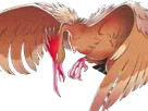 rapasdepic fearow onidrill pokemon pkm jeu anime type normal vol 1g kanto bec oiseau