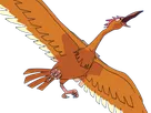 rapasdepic fearow onidrill pokemon pkm jeu anime type normal vol 1g kanto bec oiseau