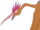 rapasdepic fearow onidrill pokemon pkm jeu anime type normal vol 1g kanto bec oiseau
