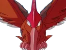 rapasdepic fearow onidrill pokemon pkm jeu anime type normal vol 1g kanto bec oiseau