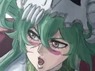 nelliel tu odelschwanck nell bleach cheveux vert yeux jaune masque arrancar fic bloop