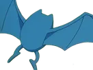 nosferalto golbat pokemon pkm jeu anime type poison vol 1g kanto chovsouris