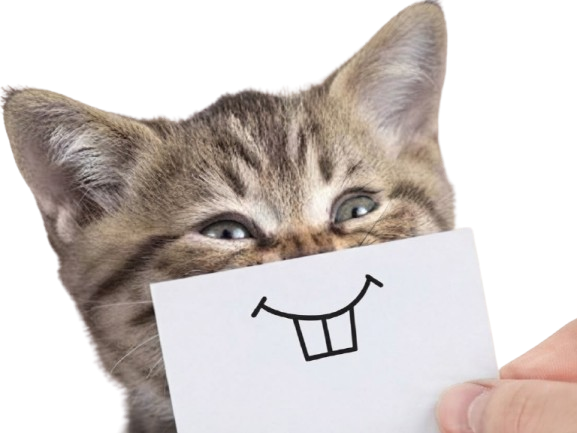 Sticker chat mignon chaton sourire papier masque sourit smile happy content heureux cat dessin cute knifos par Knifos