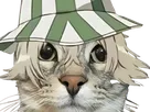 urahara kisuke bleach chat chapeau maya fic bloop