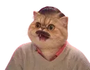 risitas jesus ia chat chien