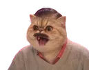 risitas jesus ia chat chien