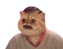 risitas jesus ia chat chien