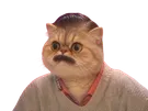 risitas jesus ia chat chien