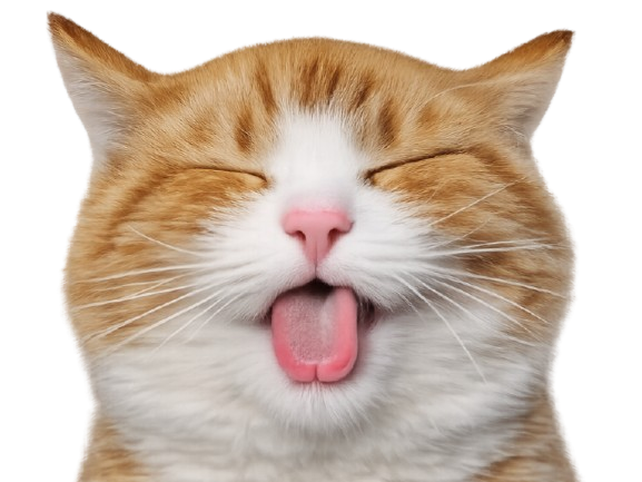 Sticker chat tire la langue cat insolente hihi tirer sassy malicieux moqueur moque mignon provoque knifos par Knifos