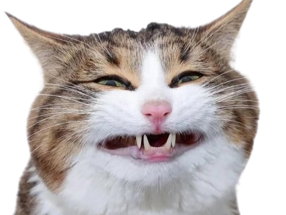 Sticker chat rexie cat sourire hiii hihi serre les dents grince force souffre douleur mignon knifos par Knifos