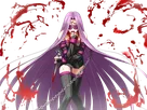rider fate stay night