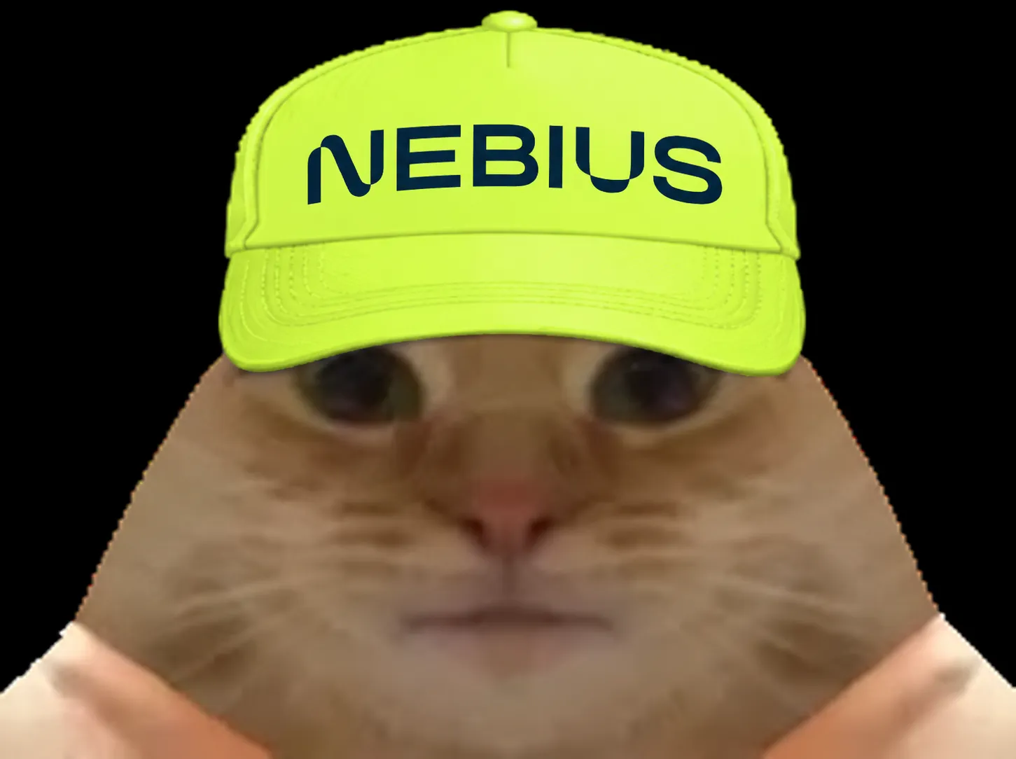 Sticker chat nebius casquette bourse compute datacenter par Percevalois