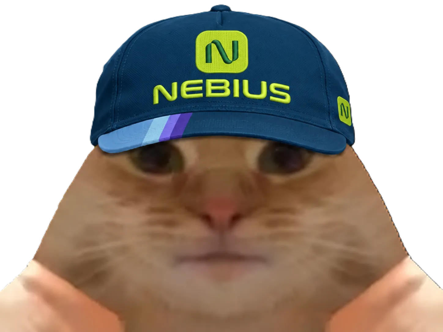 Sticker chat nebius casquette bourse compute datacenter par Percevalois