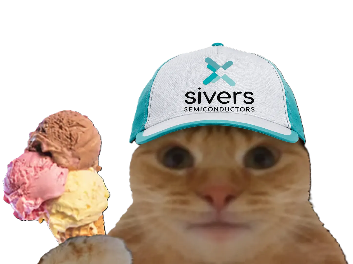 Sticker chat casquette bourse datacenter laser sivers semiconductors glace fiston laverited par Percevalois
