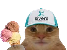 chat casquette bourse datacenter laser sivers semiconductors glace fiston laverited