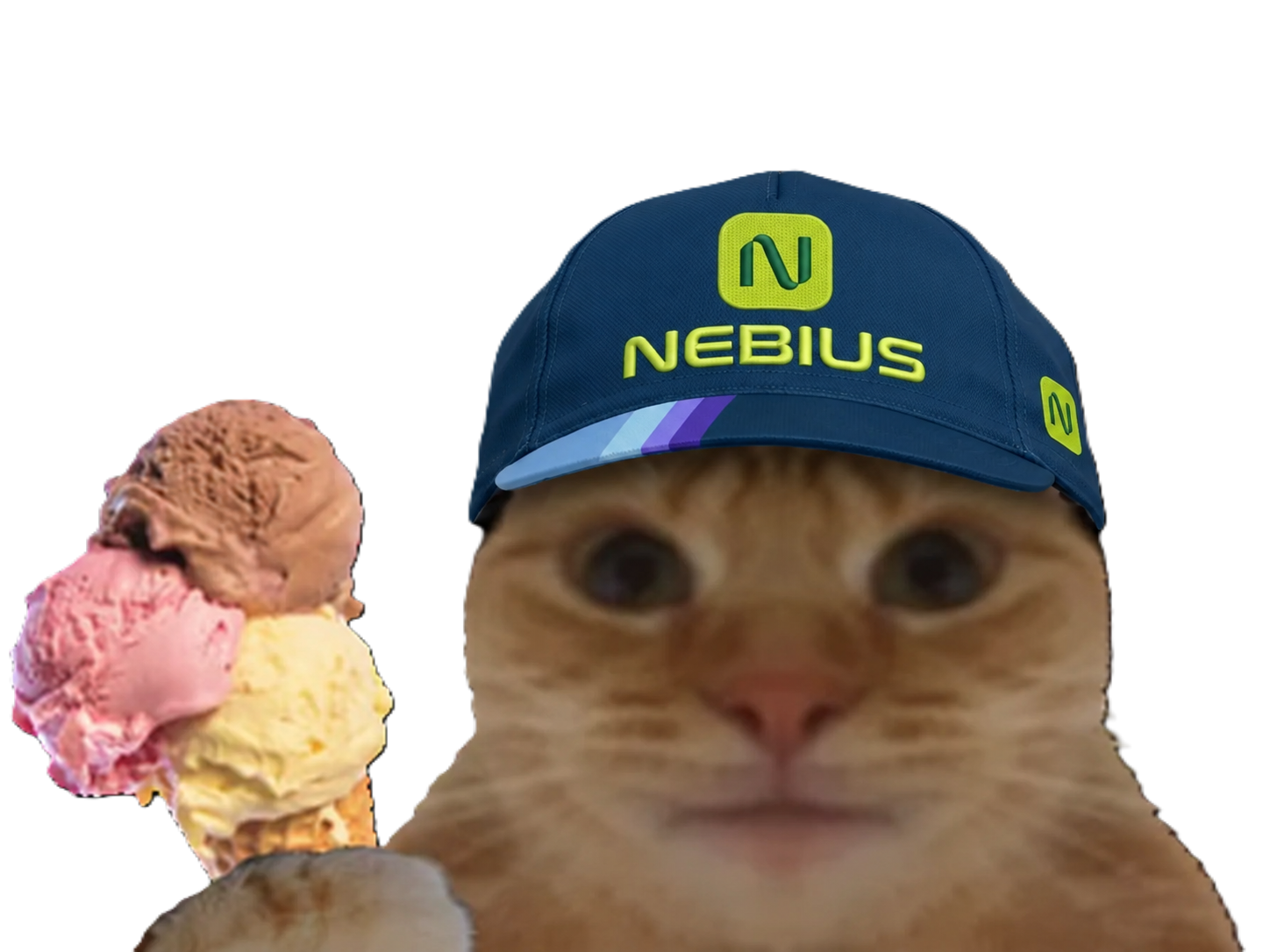 Sticker chat casquette bourse datacenter laser glace fiston laverited nebius compute par Percevalois