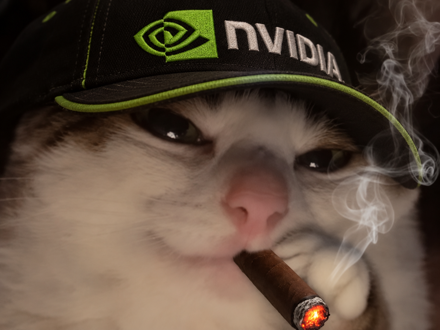 Sticker chat fume cigare mignon nvidia bourse datacenter gpu par Percevalois