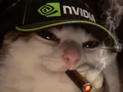 chat fume cigare mignon nvidia bourse datacenter gpu