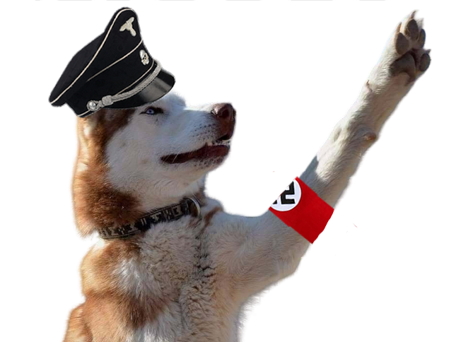 Sticker husky siberien chien good boy brassard ss nazi heil hitler sieg par chefmicheldumas