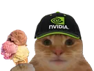 chat casquette bourse datacenter glace compute nvidia
