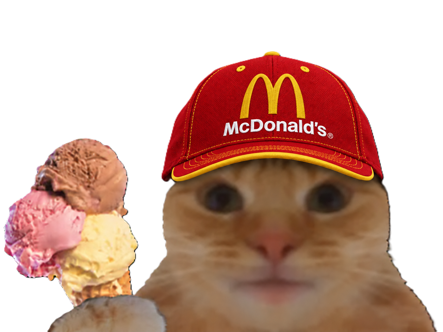 Sticker chat casquette bourse glace fiston laverited macdonalds macdo par Percevalois