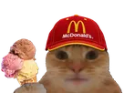 chat casquette bourse glace fiston laverited macdonalds macdo