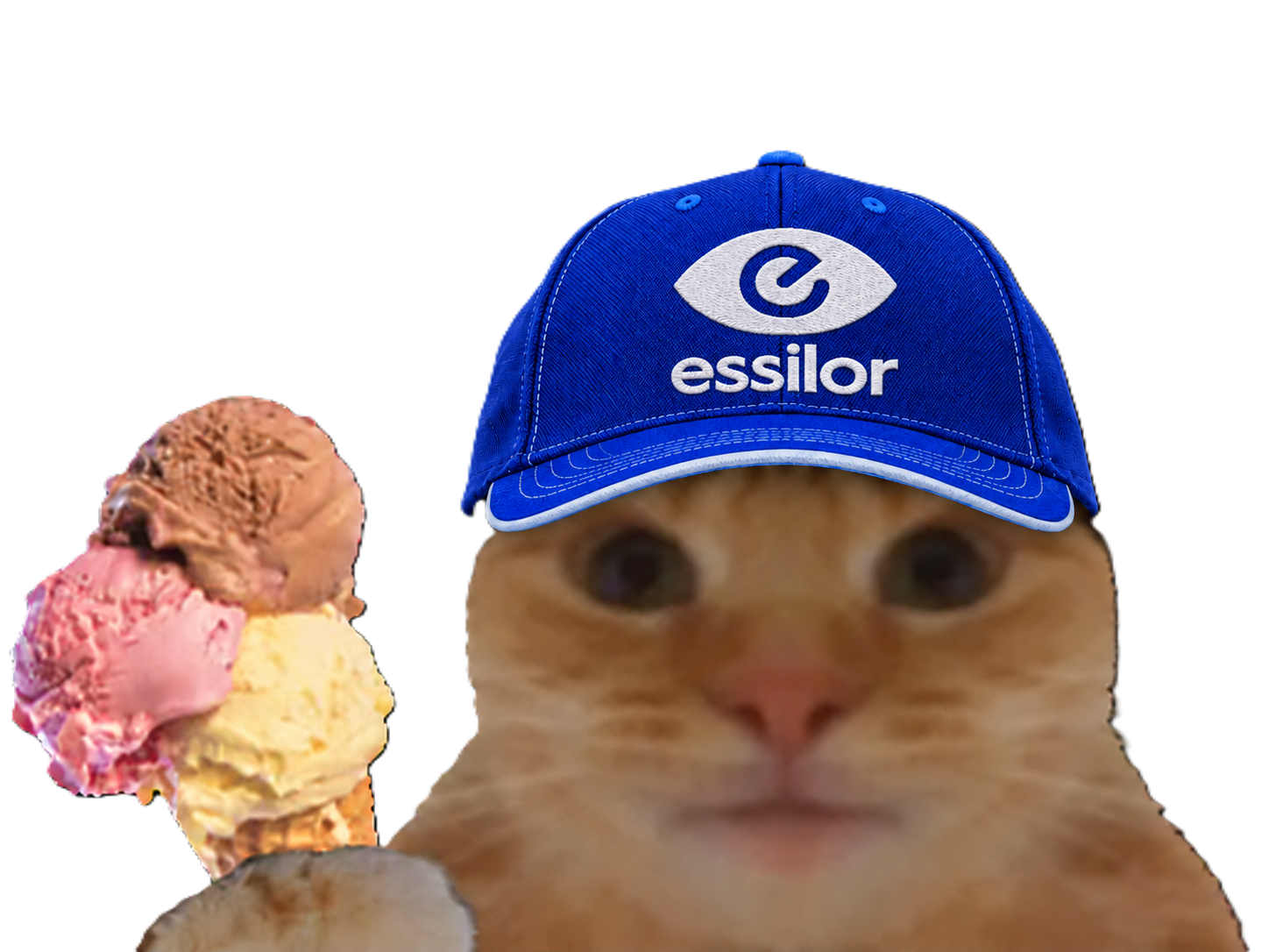 Sticker chat casquette bourse glace fiston macdonalds laverited odess essilor lunettes opticien par Percevalois