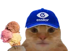chat casquette bourse glace fiston macdonalds laverited odess essilor lunettes opticien