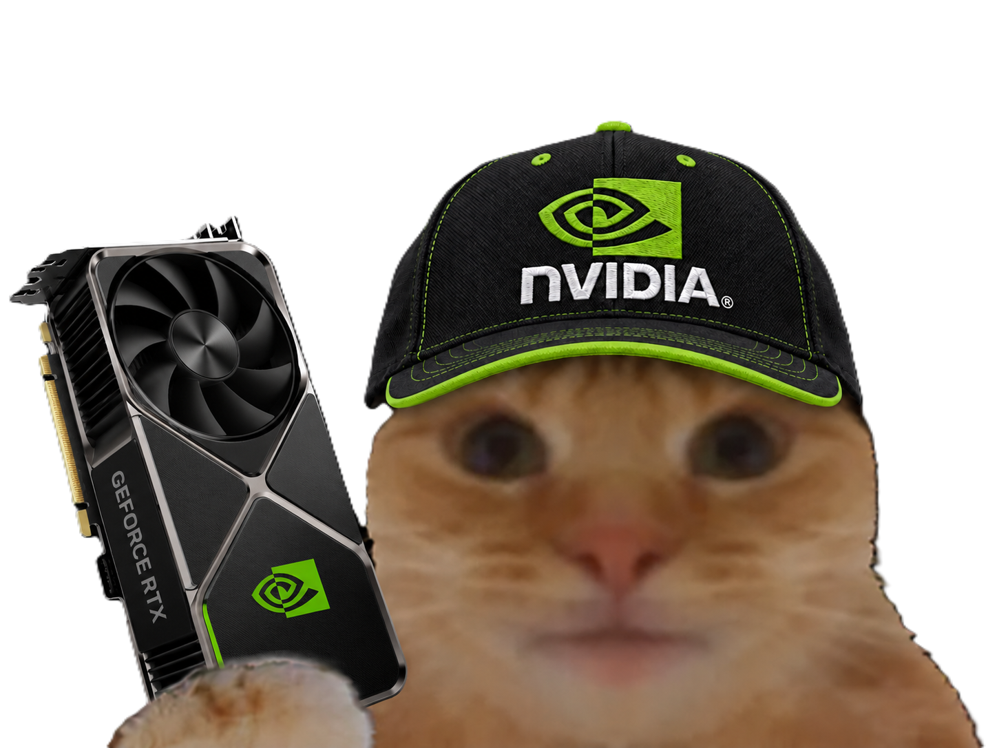 Sticker chat casquette bourse glace fiston laverited gpu nvidia carte graphique par Percevalois