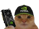 chat casquette bourse glace fiston laverited gpu nvidia carte graphique