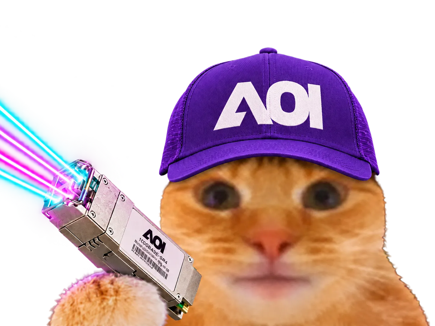 Sticker chat casquette bourse datacenter laser laverited fiston aaoi applied optoelectronics npo cpo networking lumiere par Percevalois