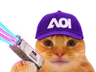chat casquette bourse datacenter laser laverited fiston aaoi applied optoelectronics npo cpo networking lumiere