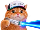 chat casquette bourse datacenter laser npo cpo networking lumiere lite lumentum