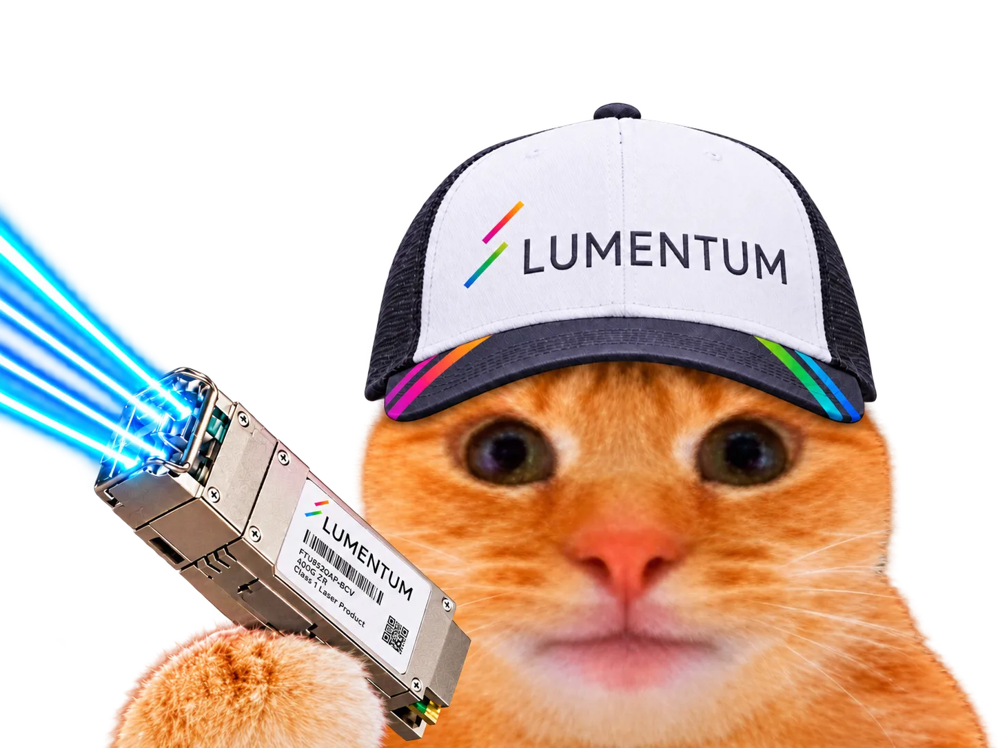 Sticker chat casquette bourse datacenter laser laverited fiston npo cpo networking lumiere lite lumentum par Percevalois