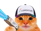 chat casquette bourse datacenter laser laverited fiston npo cpo networking lumiere lite lumentum