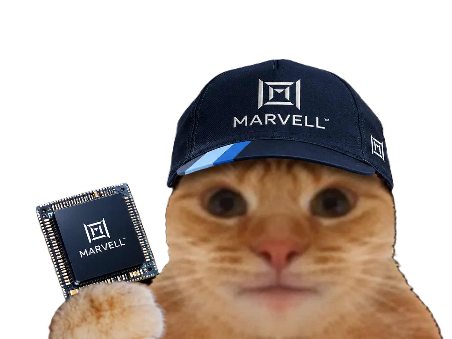 Sticker chat casquette bourse datacenter laser laverited fiston npo cpo networking lumiere marvell par Percevalois