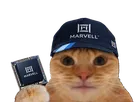 chat casquette bourse datacenter laser laverited fiston npo cpo networking lumiere marvell