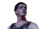 till lindemann rammstein allemand chanteur