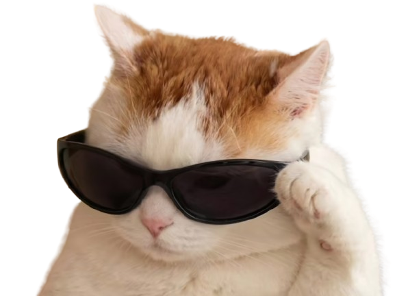 Sticker chat style beau lunettes mode chatte de soleil swagg flow fier mepris hautain superieur knifos par Knifos