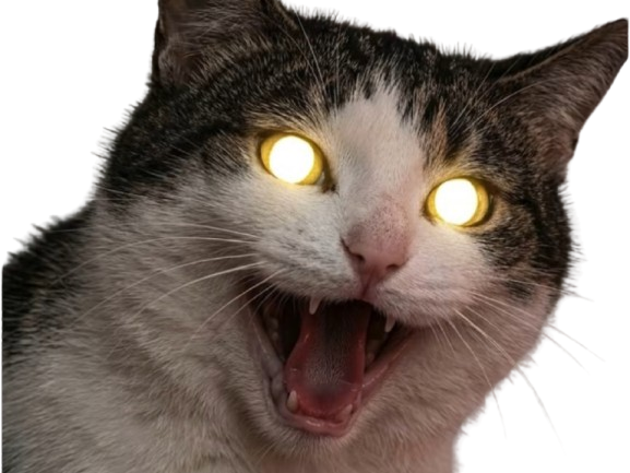 Sticker chat yeux jaunes halloween demon demoniaque bouh peur cat crie miaule miaou screamer yellow knifos par Knifos